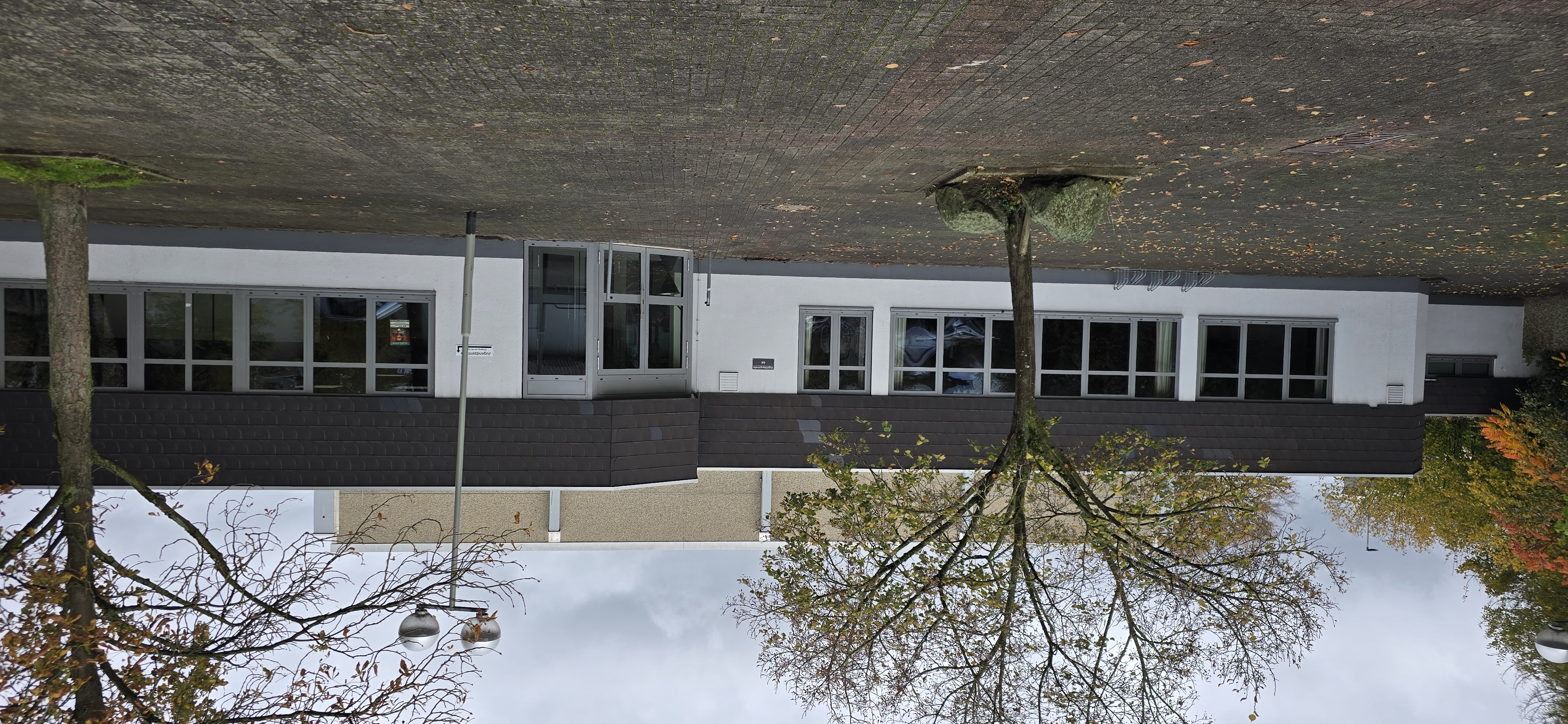 Internationale Rassekatzenausstellung 63674 Altenstadt - 04. - 05. Oktober 2025.jpg